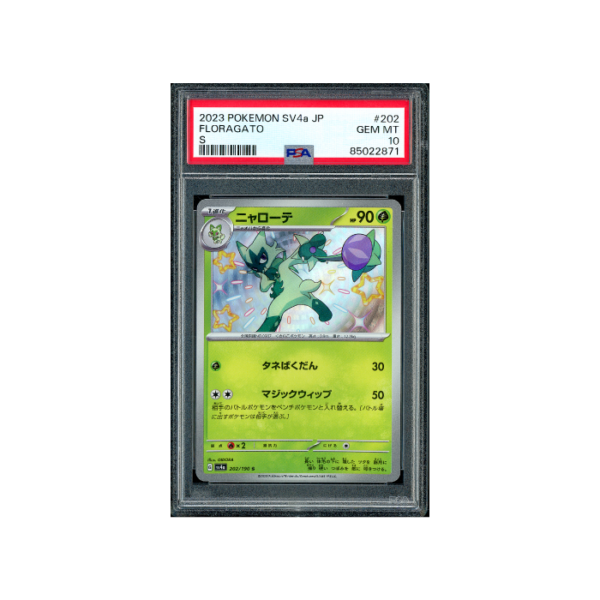 Pokemon Floragato Shiny Treasure ex Baby Shiny #202 PSA 10