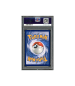 Pokemon PSA 10 Pikachu V #377 Promo Indonesisch
