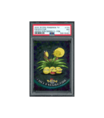 Pokemon Exeggutor Topps TV Animation Series 2 #103 PSA 7