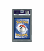 Pokemon Phanpy Surging Sparks AR Full Art #205 PSA 10